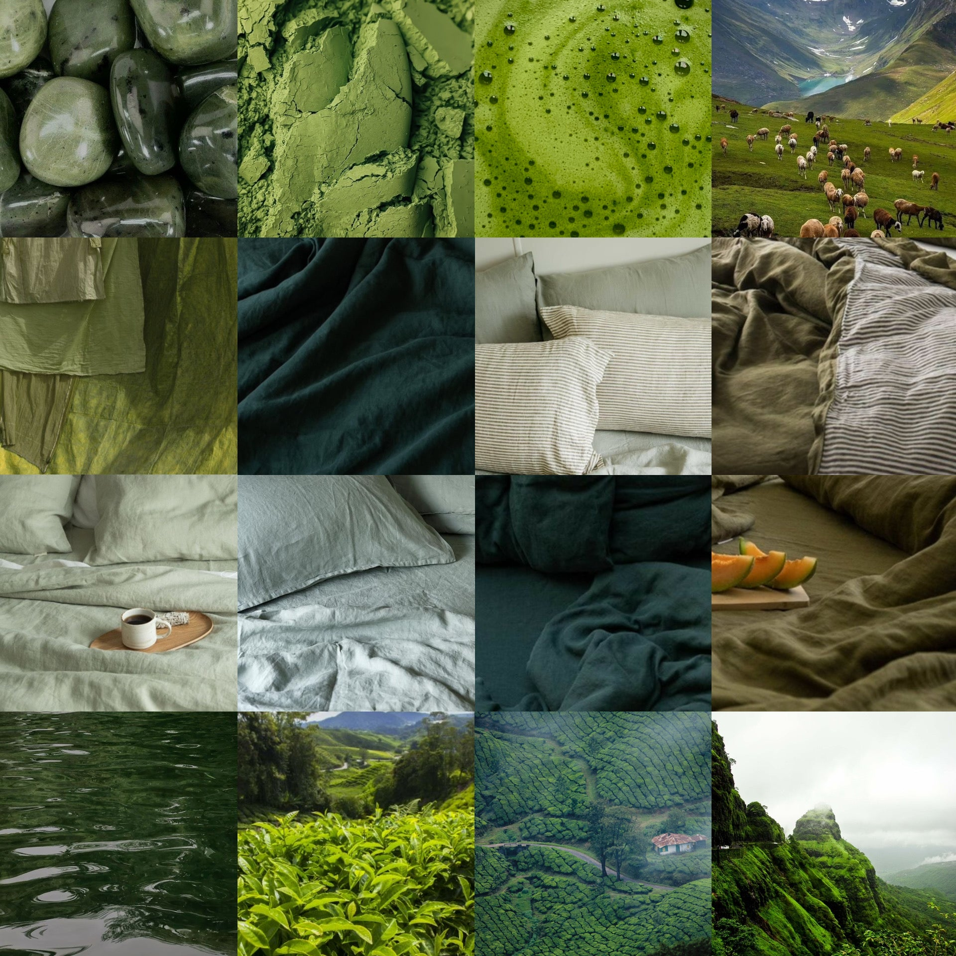 Baagh –  A Garden Waking Up
