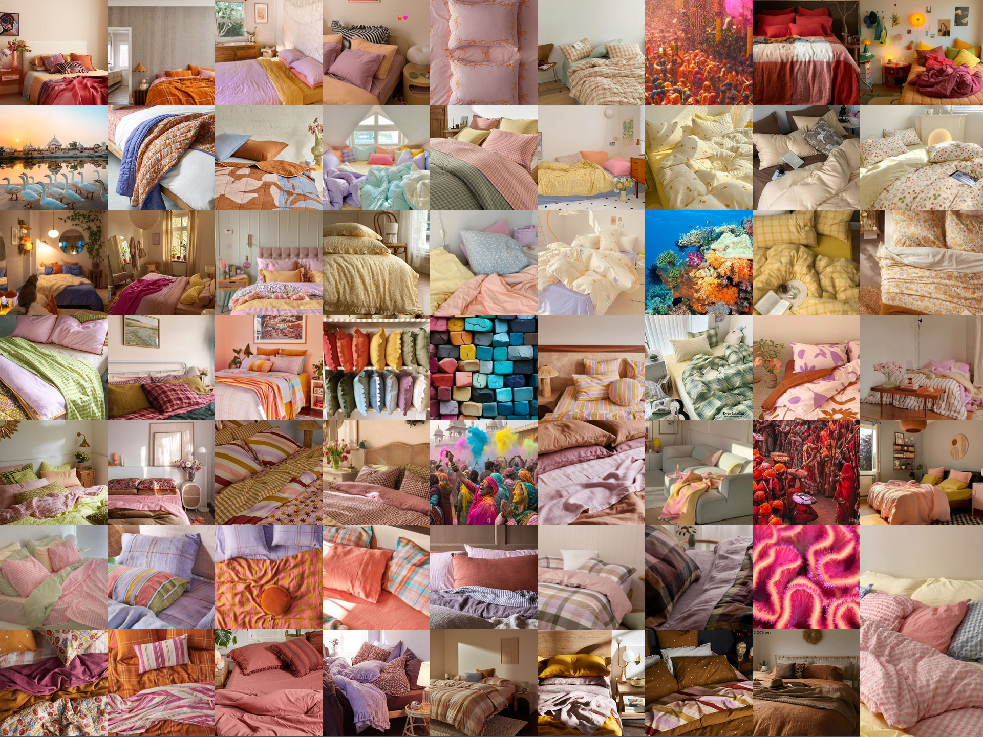 Rangrez – The Art of Living in Color