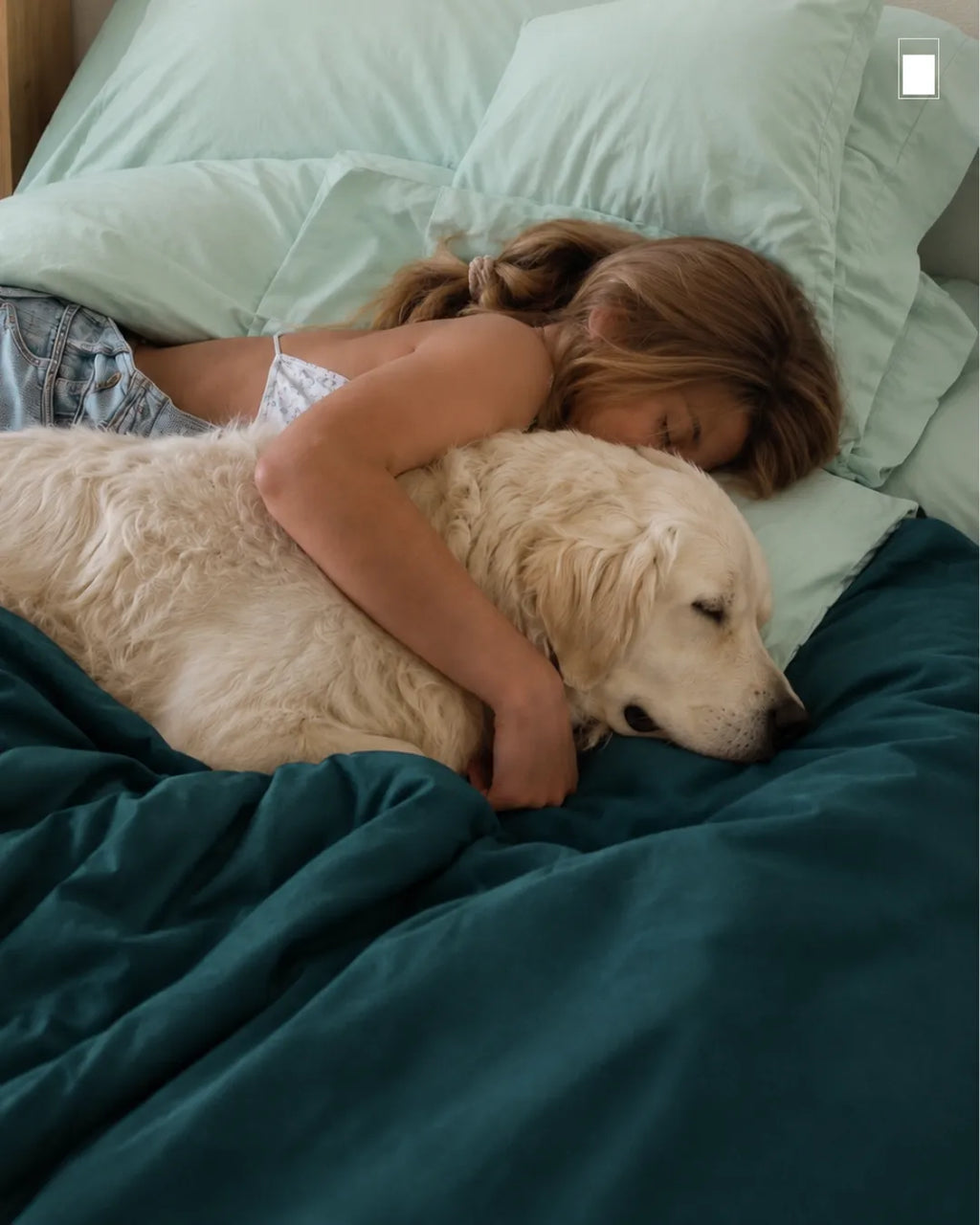 300 TC 100% Cotton Duvet Cover Petrol (Baagh)
