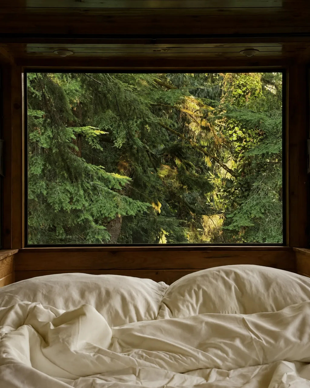 300 TC 100% Cotton Fitted Bedsheet - Creme (Aamras)